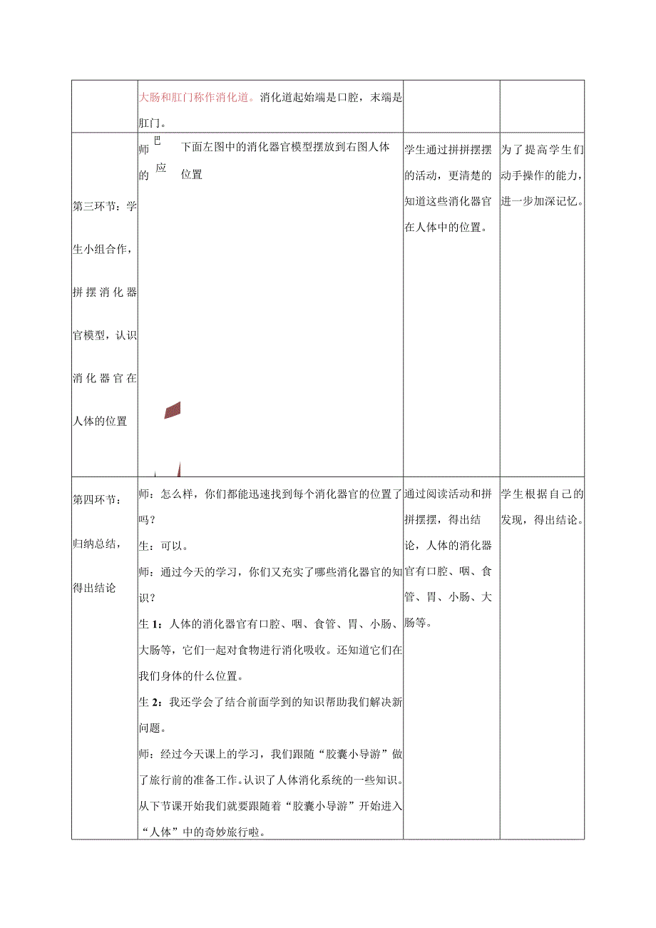 大象版小学科学四年级上册第五单元《人体的消化器官》教学课件及教学反思.docx_第3页