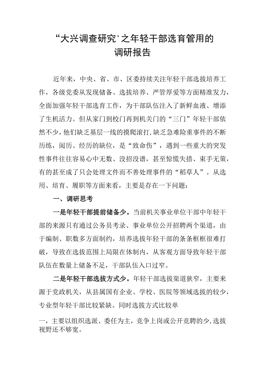 大兴调查研究之年轻干部选育管用的调研报告.docx_第1页