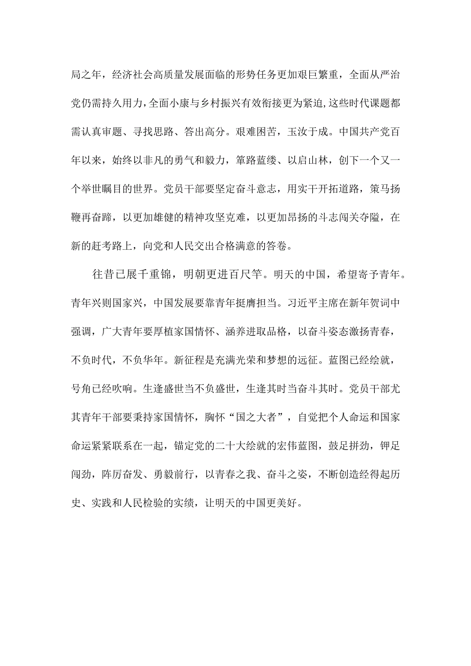 学习领会二〇二三年新年贺词心得体会.docx_第2页