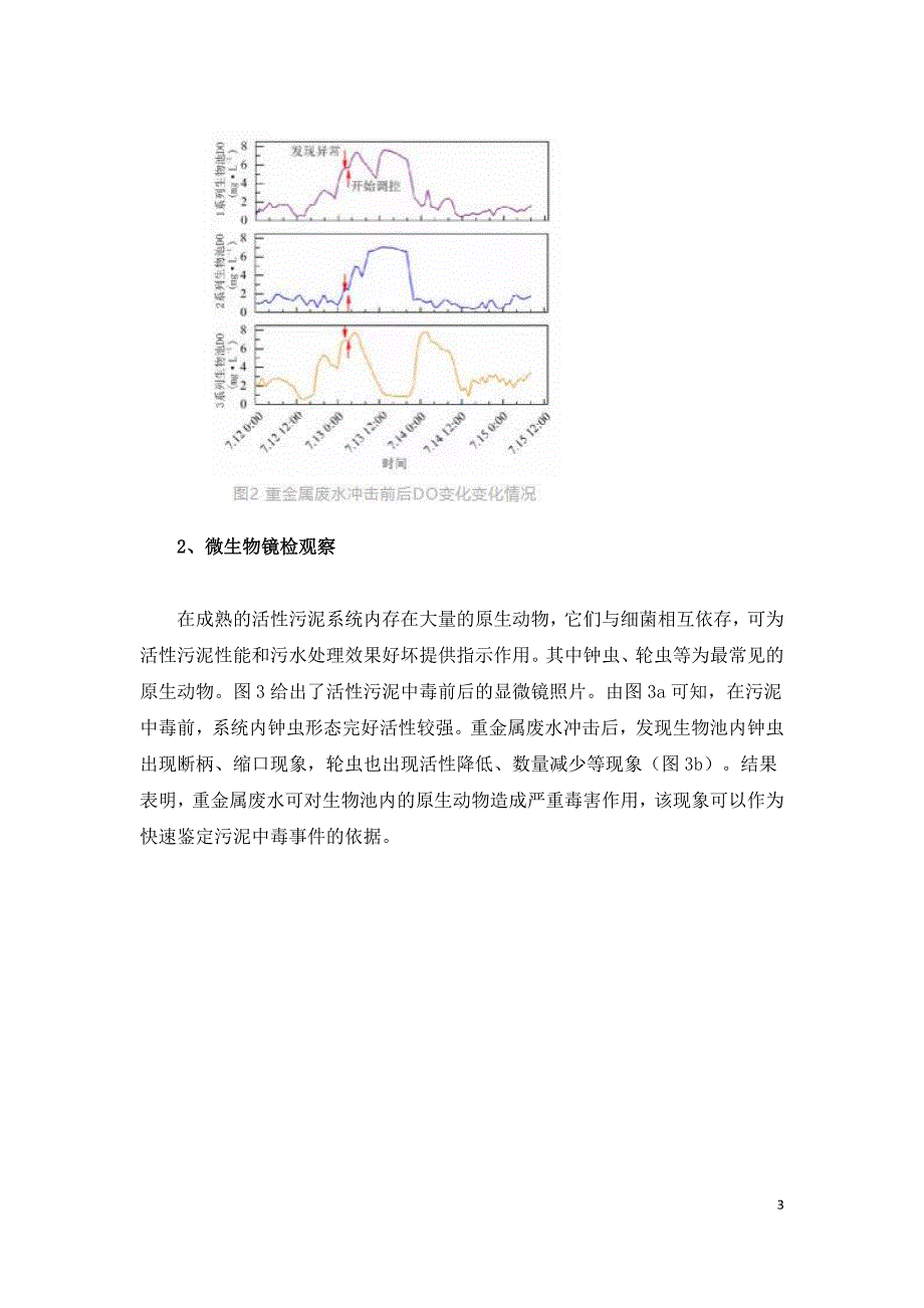 污水厂污泥重金属中毒应对.doc_第3页