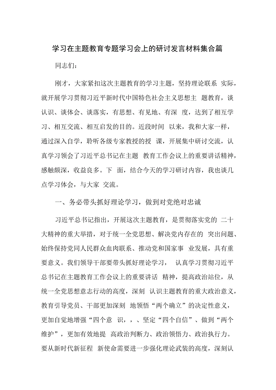 学习在主题教育专题学习会上的研讨发言材料集合篇.docx_第1页