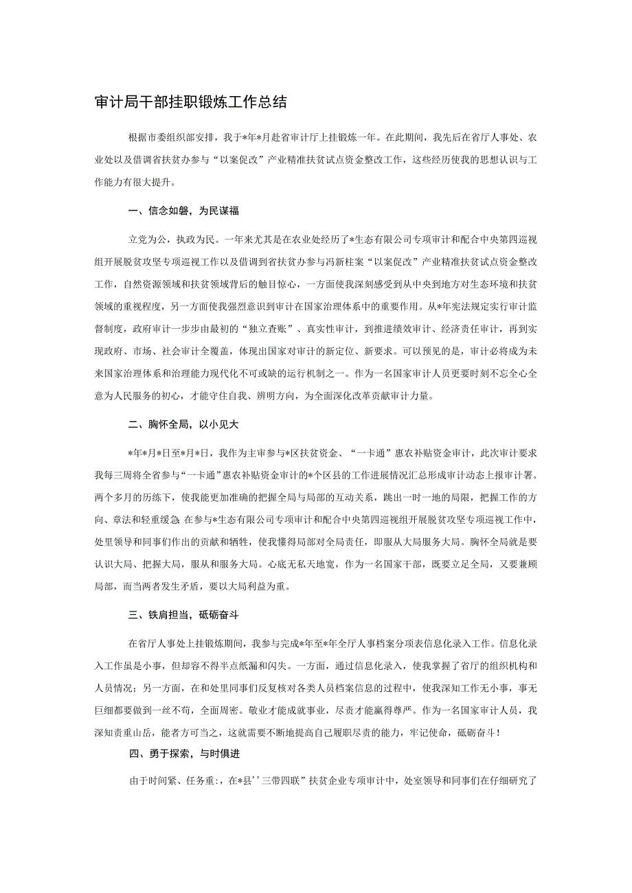 审计局干部挂职锻炼工作总结.docx_第1页