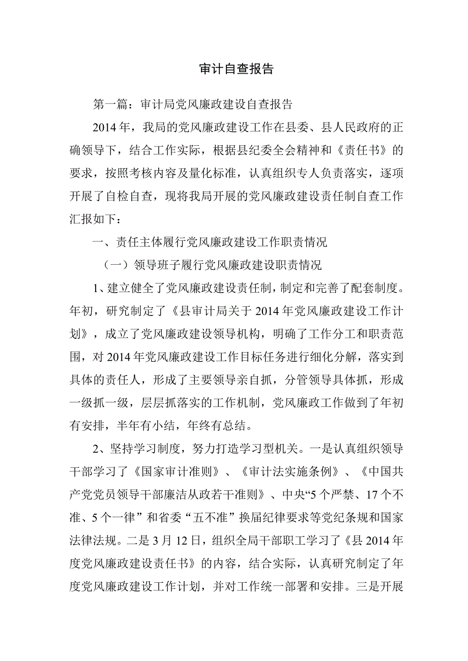 审计自查报告.docx_第1页