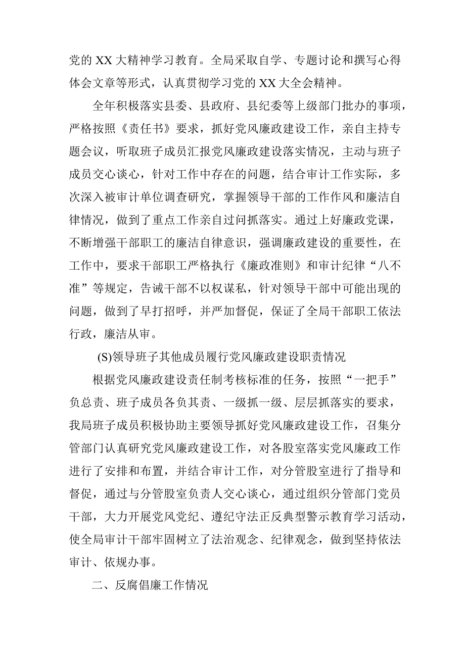 审计自查报告.docx_第2页