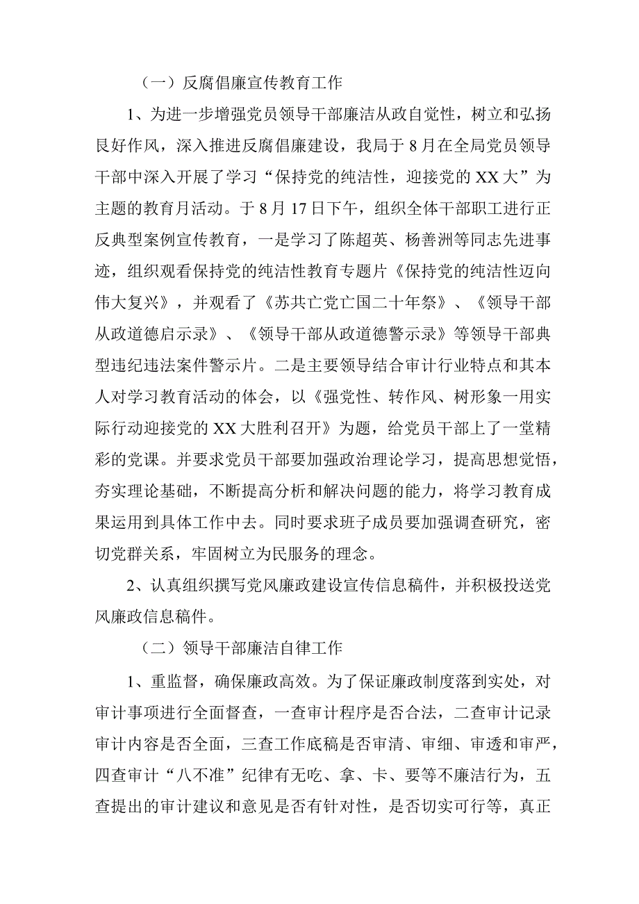 审计自查报告.docx_第3页