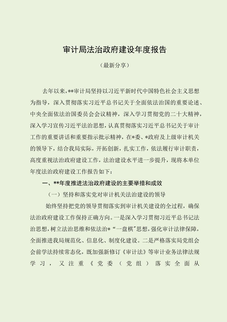 审计局法治政府建设年度报告.docx_第1页