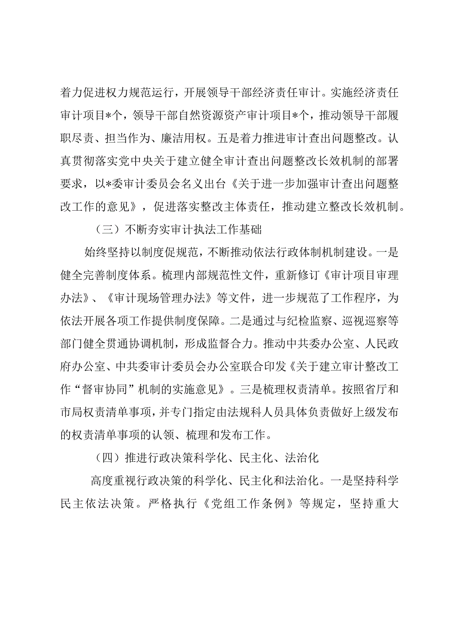 审计局法治政府建设年度报告.docx_第3页