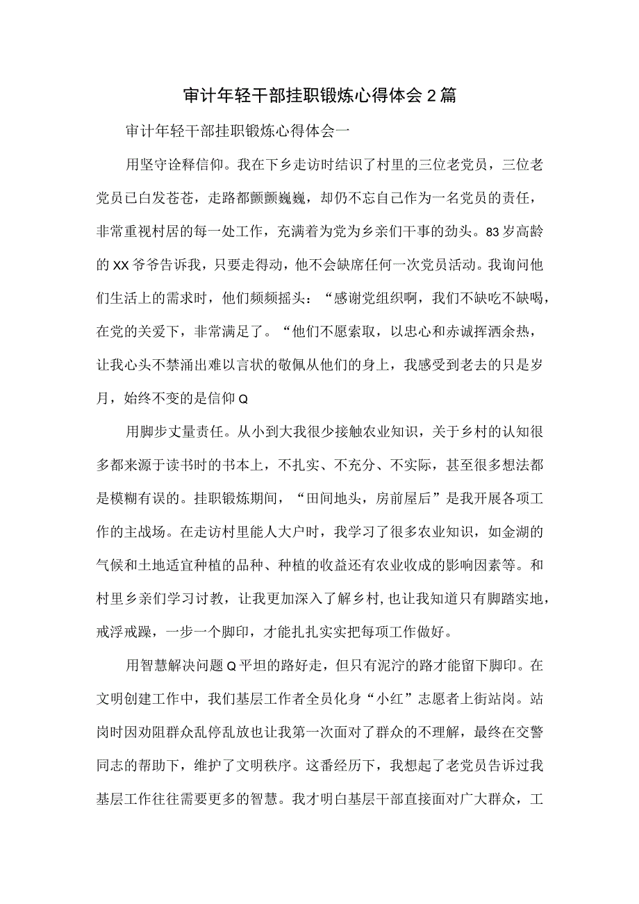 审计年轻干部挂职锻炼心得体会2篇.docx_第1页