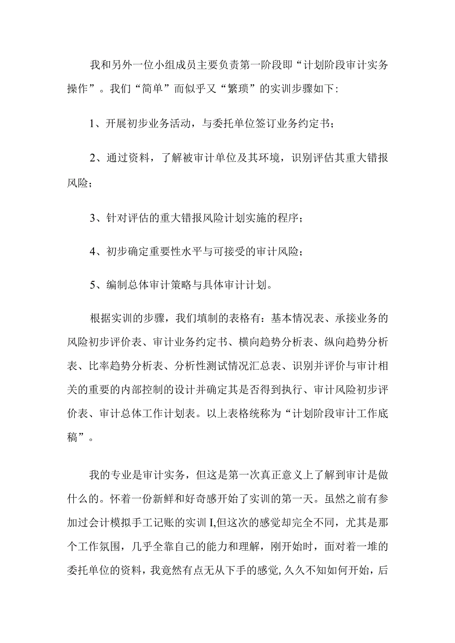 审计的实习报告3篇.docx_第3页