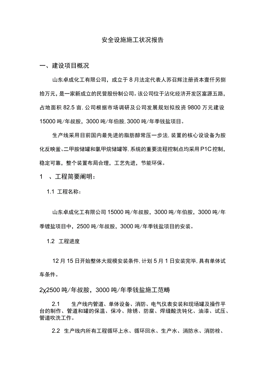 安全设施施工情况报告范本.docx_第1页