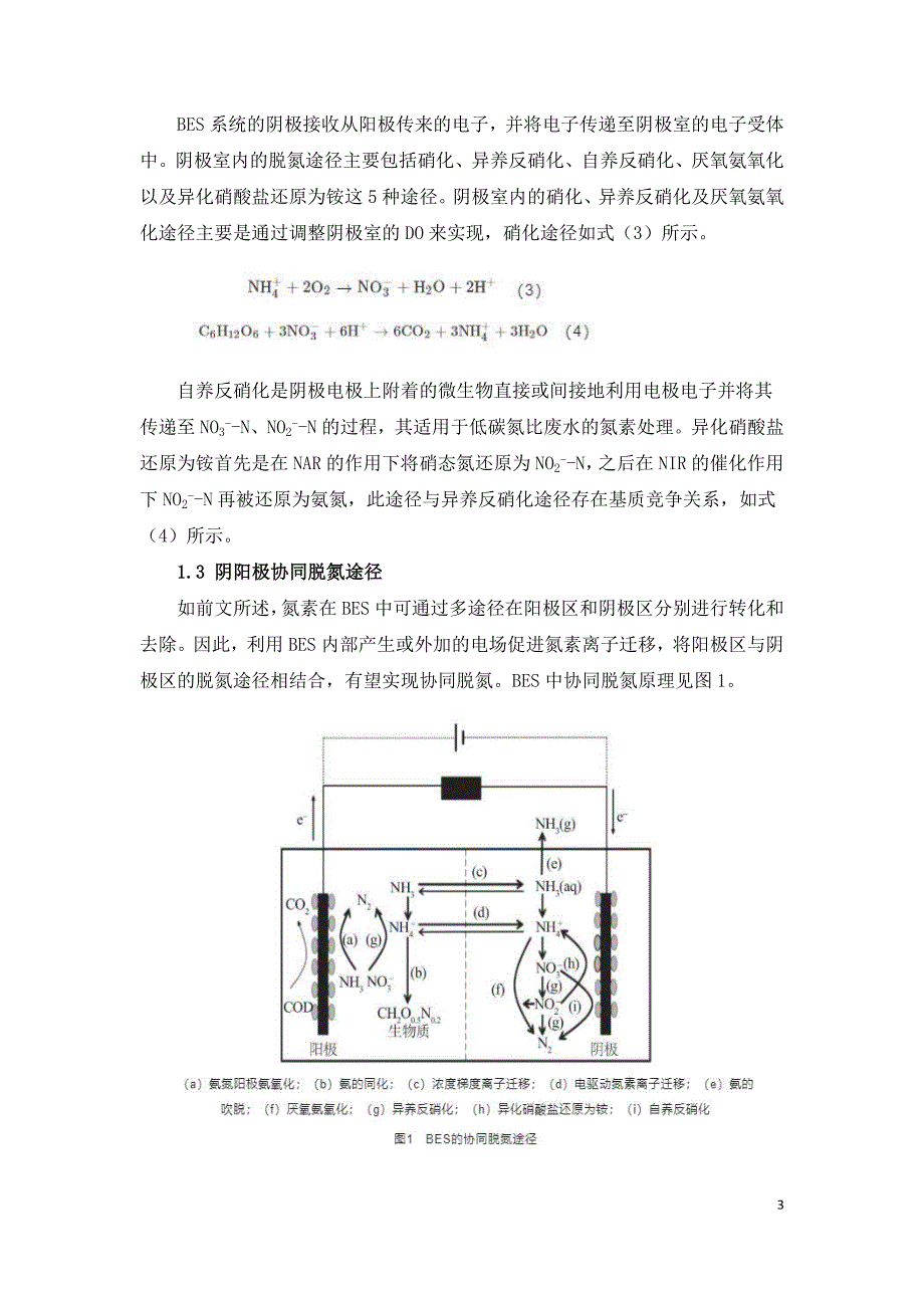 生物电化学系统废水脱氮机理及影响研究进展.doc_第3页