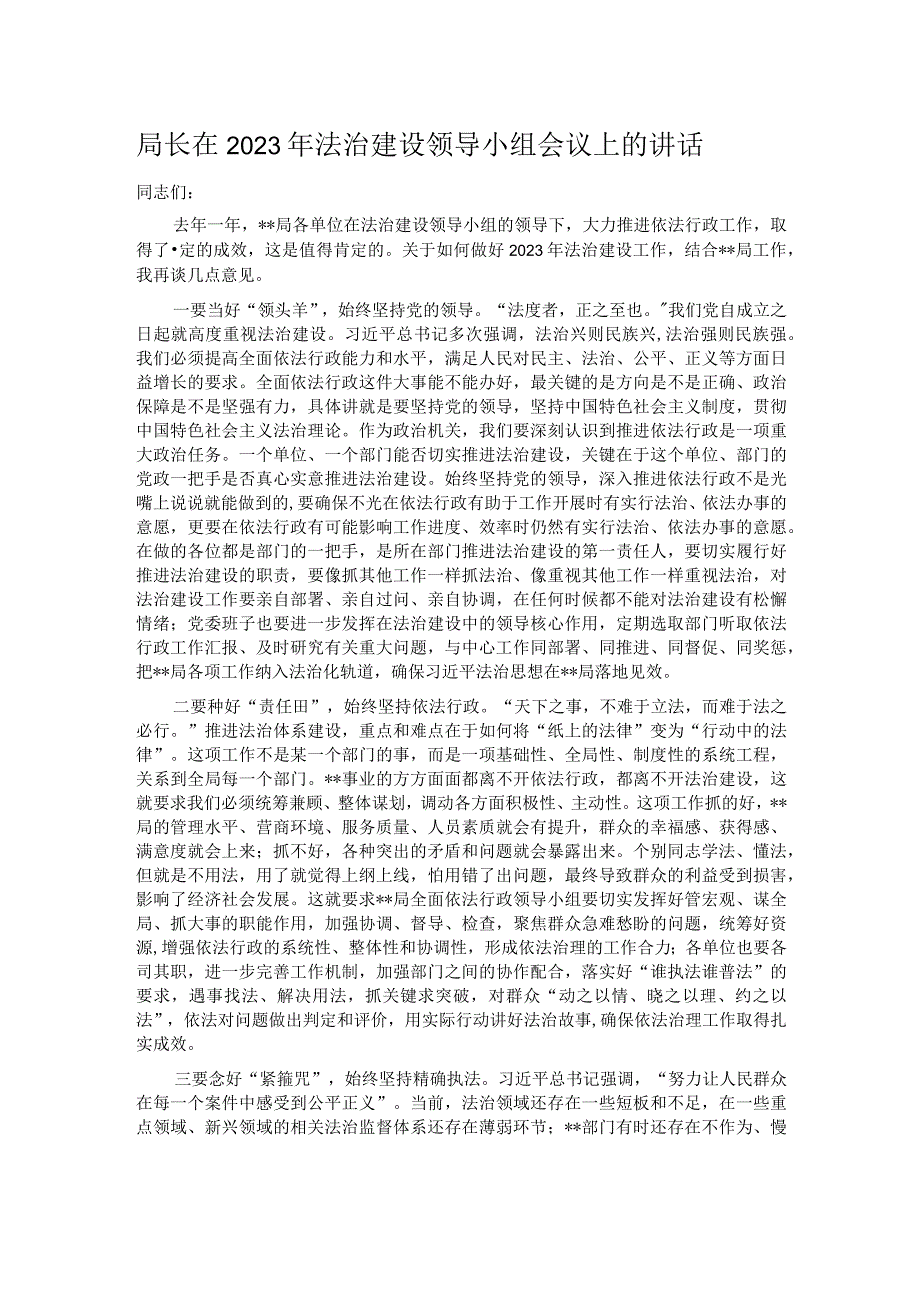 局长在2023年法治建设领导小组会议上的讲话.docx_第1页