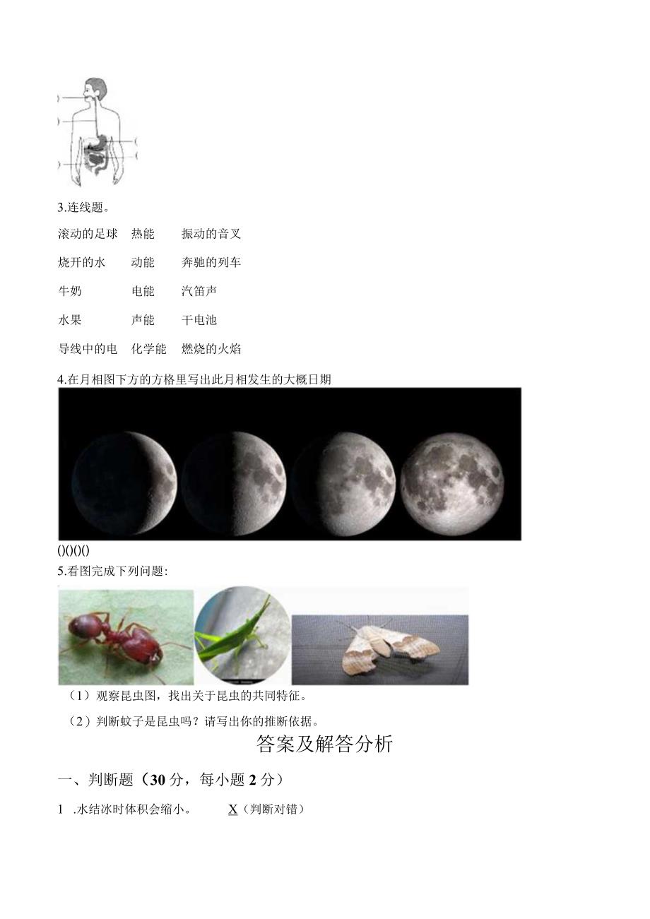 小升初科学试卷（含答案及解答分析）.docx_第3页