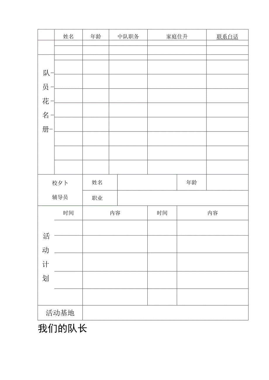 少先队活动表格汇总.docx_第3页