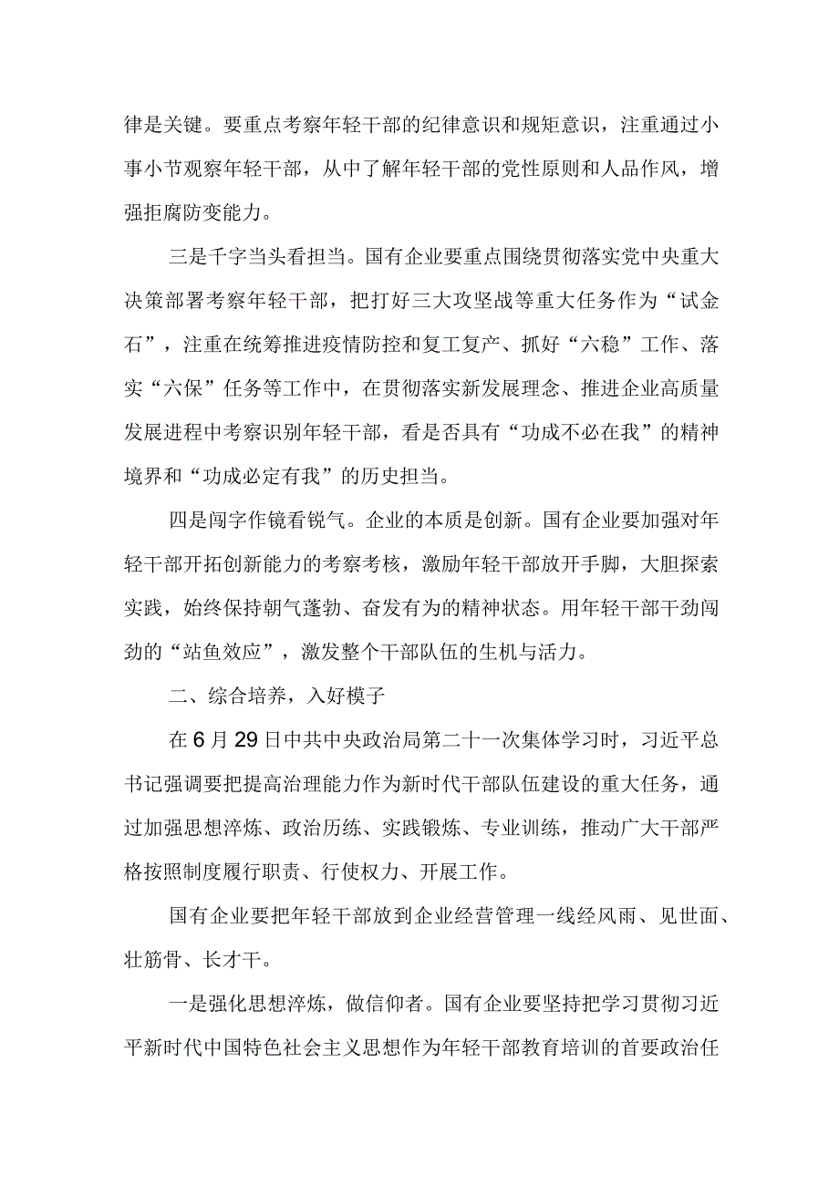 对新时代国企年轻干部队伍建设的思考.docx_第2页