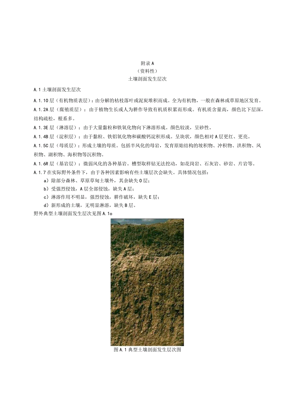 富硒土壤土壤剖面发生层次样品测定指标分析方法农产品富硒标准及富硒率计算方法调查及划分成果报告编写提纲及要求.docx_第1页