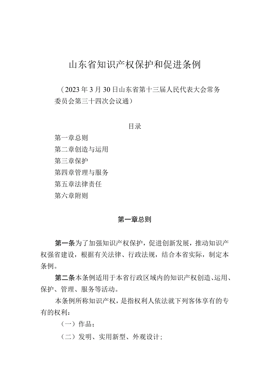 山东省知识产权保护和促进条例.docx_第1页