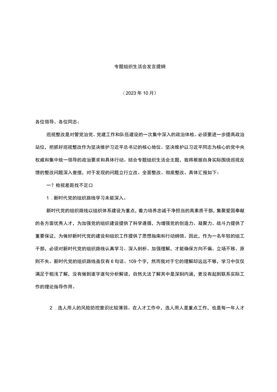 巡视整改专题组织生活会发言提纲.docx_第1页