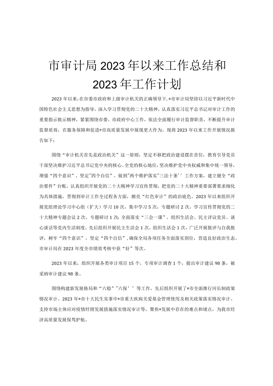 市审计局2023年以来工作总结和2023年工作计划.docx_第1页