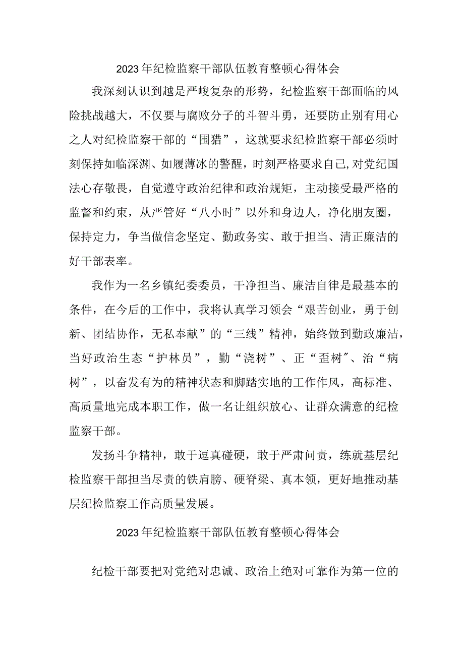 市区医院2023年纪检监察干部队伍教育整顿个人心得体会.docx_第1页