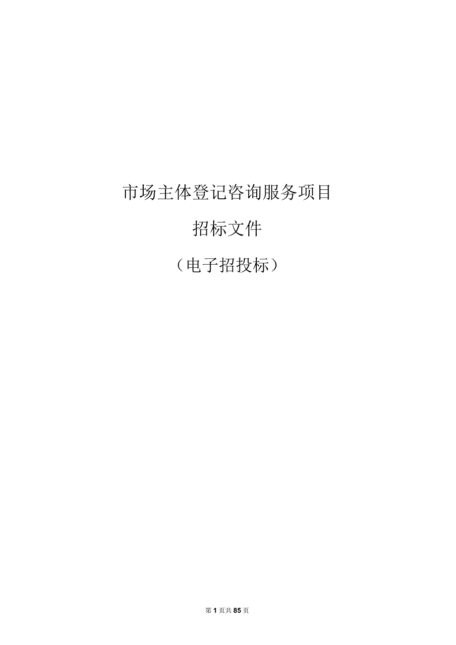 市场主体登记咨询服务项目招标文件.docx_第1页