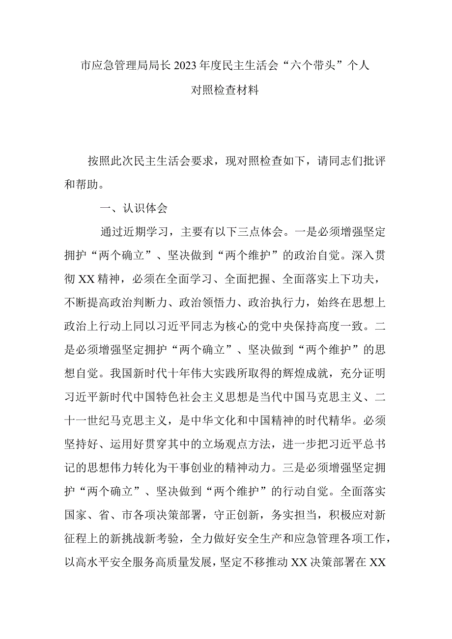 市应急管理局局长2023年度民主生活会六个带头个人对照检查材料.docx_第1页