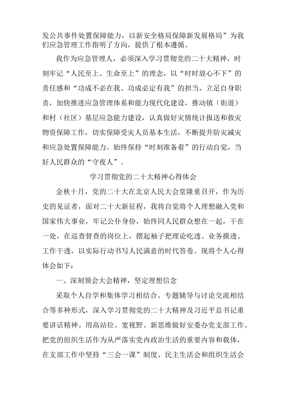 应急管理局执法大队党员干部学习贯彻党的二十大精神个人心得体会 汇编4份.docx_第2页