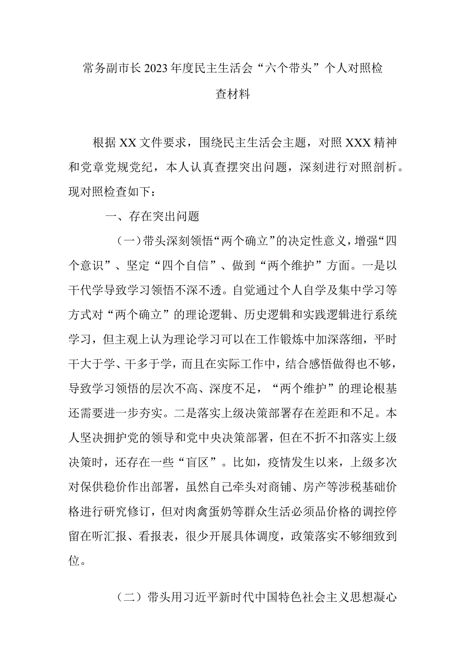 常务副市长2023年度民主生活会六个带头个人对照检查材料.docx_第1页