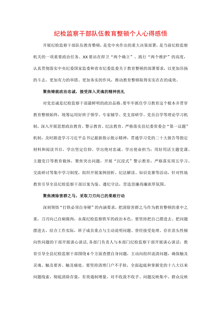 3篇2023年纪检监察干部队伍纪律教育整顿要求及心得体会.docx_第3页