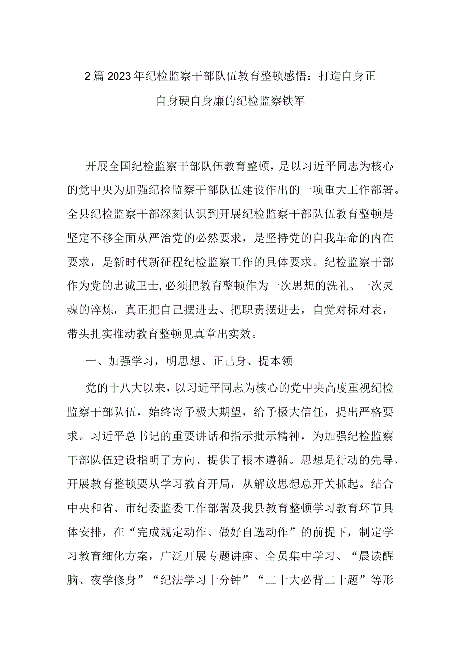 2篇2023年纪检监察干部队伍教育整顿感悟：打造自身正自身硬自身廉的纪检监察铁军.docx_第1页