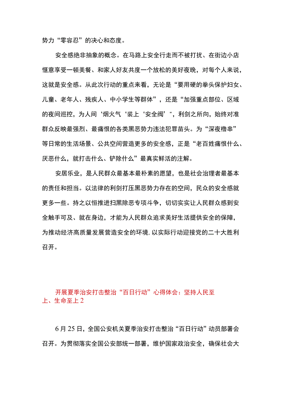 2篇 开展夏季治安打击整治百日 行动心得体会发言.docx_第2页