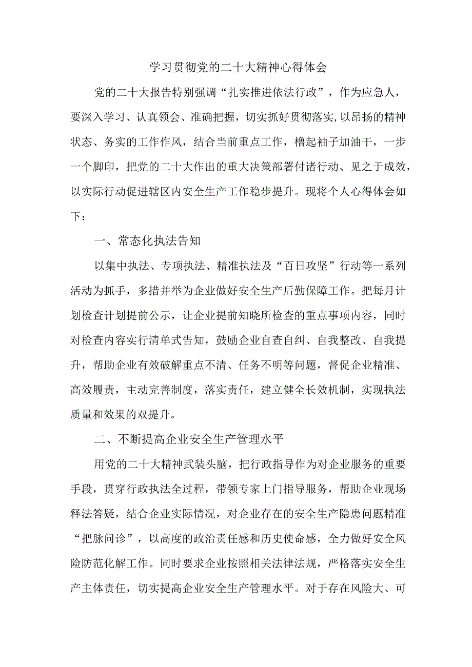 应急管理局执法大队负责人《学习贯彻党的二十大精神》个人心得体会 （10份）.docx_第1页