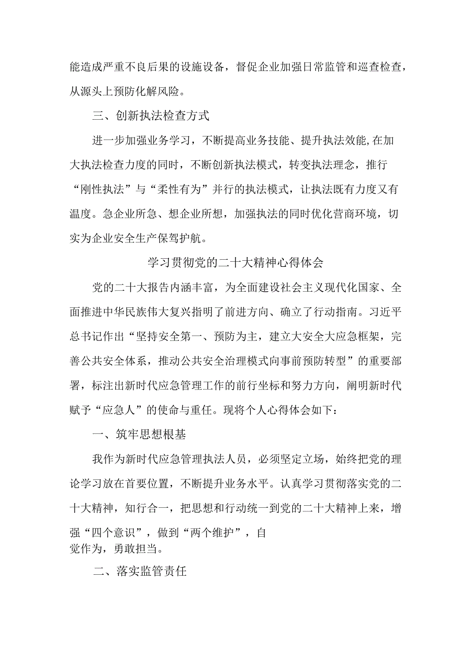 应急管理局执法大队负责人《学习贯彻党的二十大精神》个人心得体会 （10份）.docx_第2页