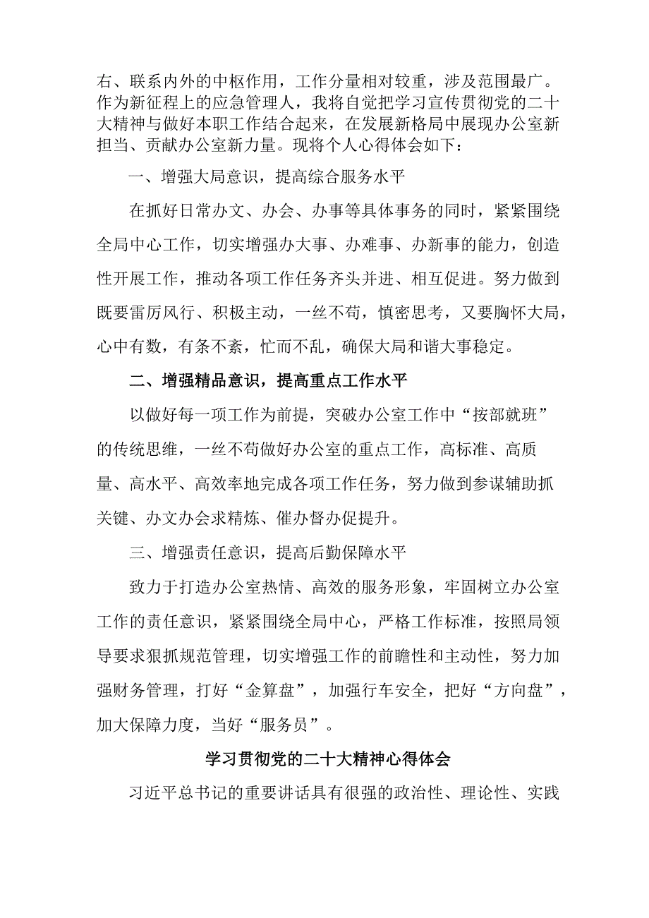 应急管理局执法大队党员干部学习贯彻党的二十大精神心得体会.docx_第2页