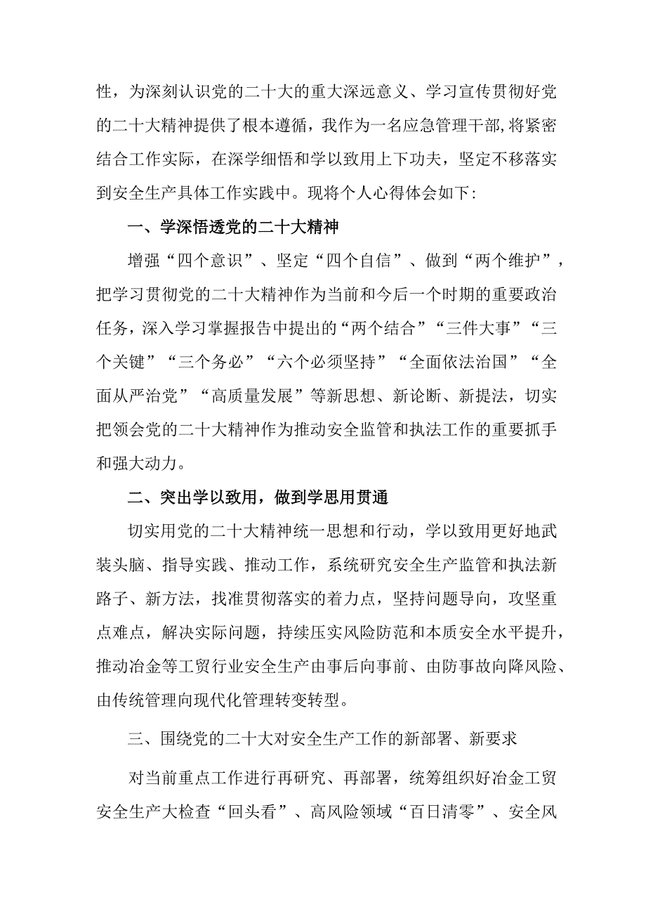 应急管理局执法大队党员干部学习贯彻党的二十大精神心得体会.docx_第3页