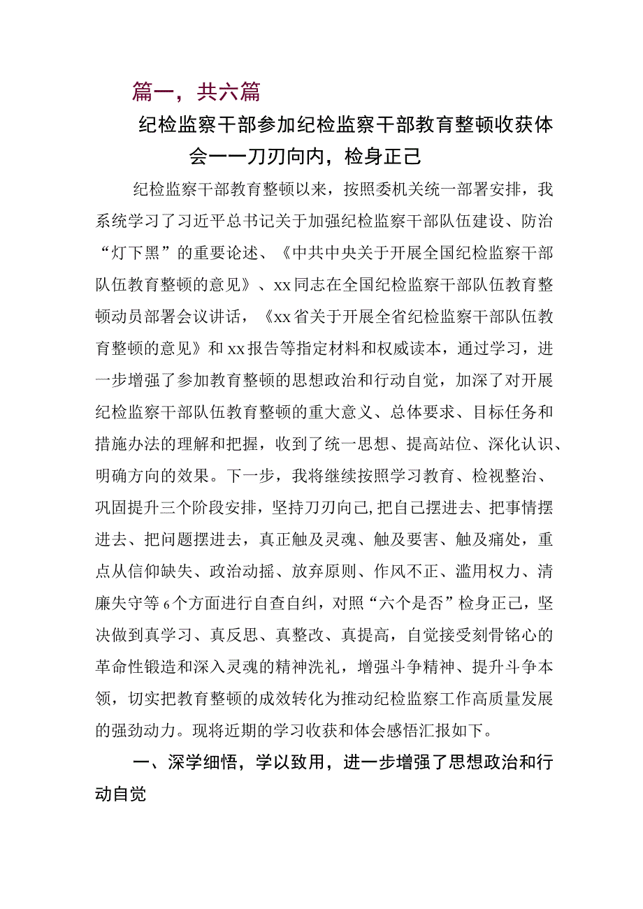 开展2023年纪检监察干部队伍教育整顿发言材料.docx_第1页