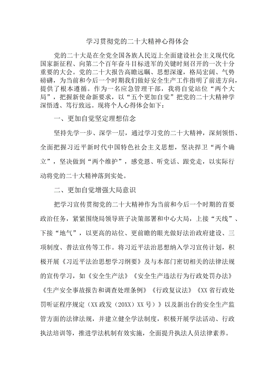 应急管理综合科负责人《学习贯彻党的二十大精神》心得体会 （汇编6份）.docx_第1页