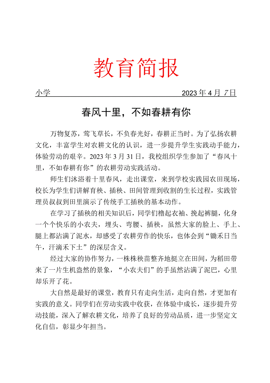 开展插秧实践活动简报.docx_第1页