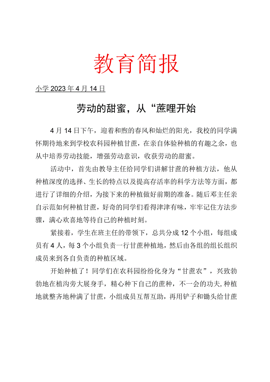 开展种甘蔗劳动实践活动简报.docx_第1页