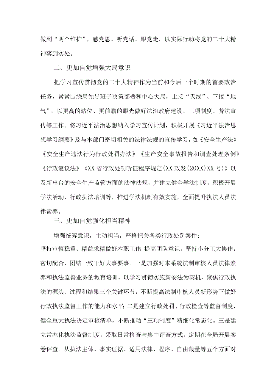 应急管理局执法大队负责人《学习贯彻党的二十大精神》心得体会 （10份）.docx_第3页