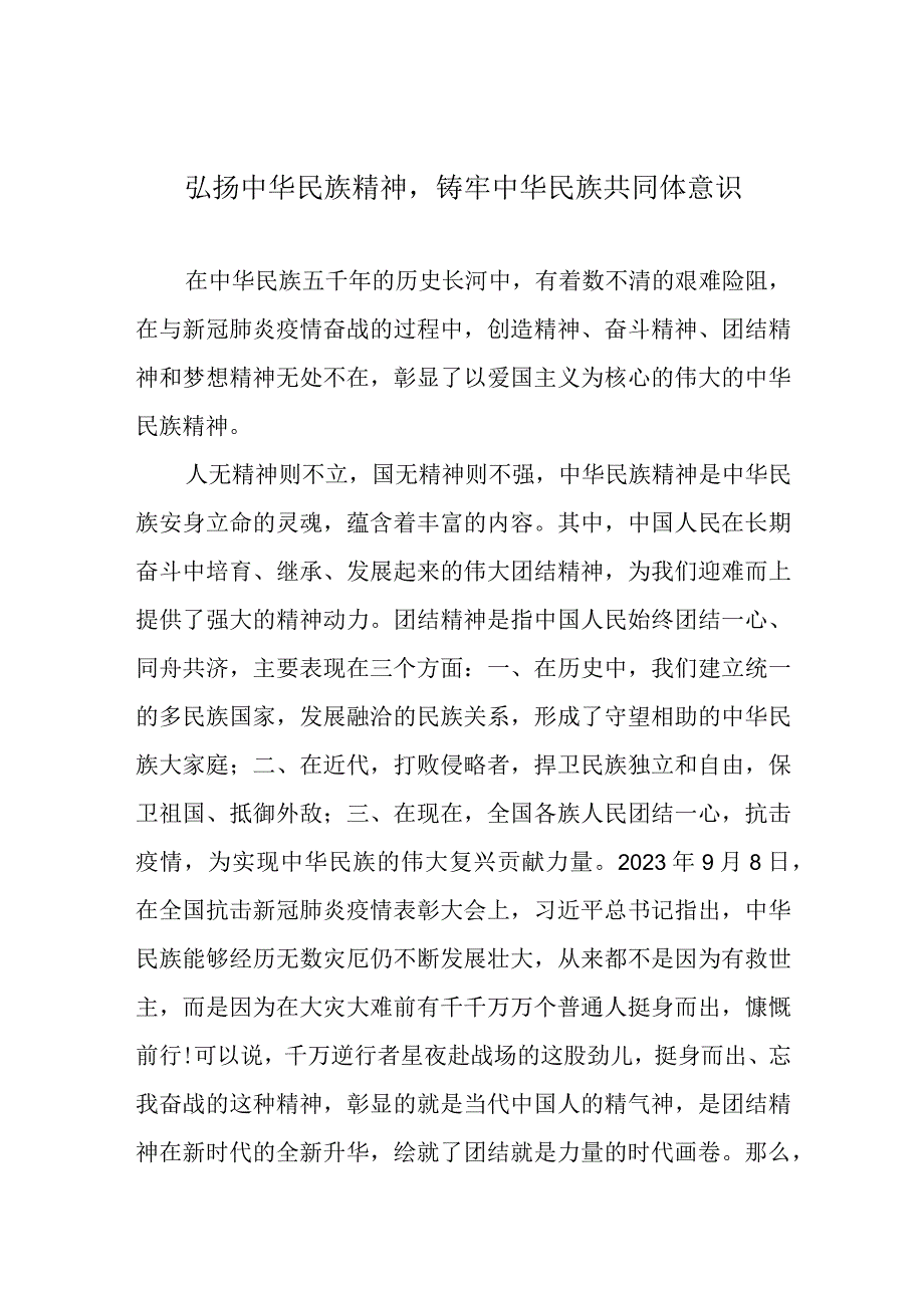 弘扬中华民族精神铸牢中华民族共同体意识.docx_第1页