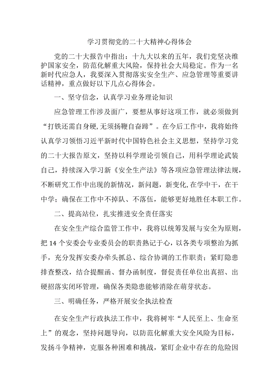 应急管理综合科负责人《学习贯彻党的二十大精神》心得体会.docx_第1页