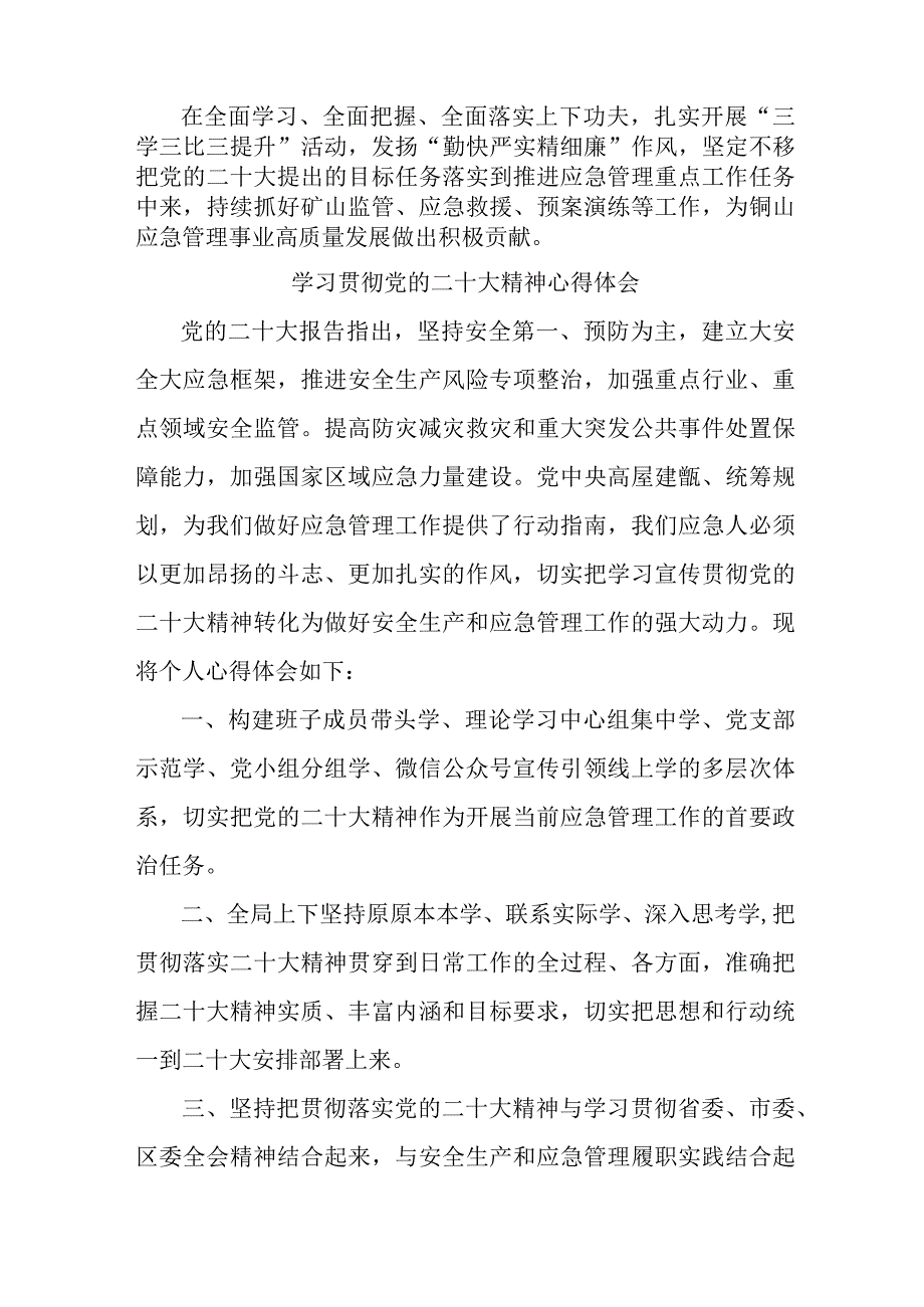 应急管理综合科负责人《学习贯彻党的二十大精神》个人心得体会 汇编8份.docx_第2页