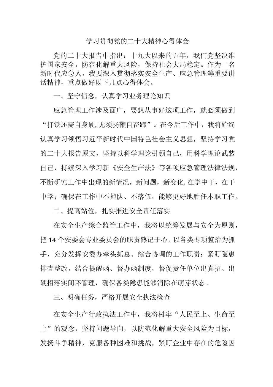 应急管理局执法大队负责人学习贯彻党的二十大精神个人心得体会 汇编8份.docx_第1页