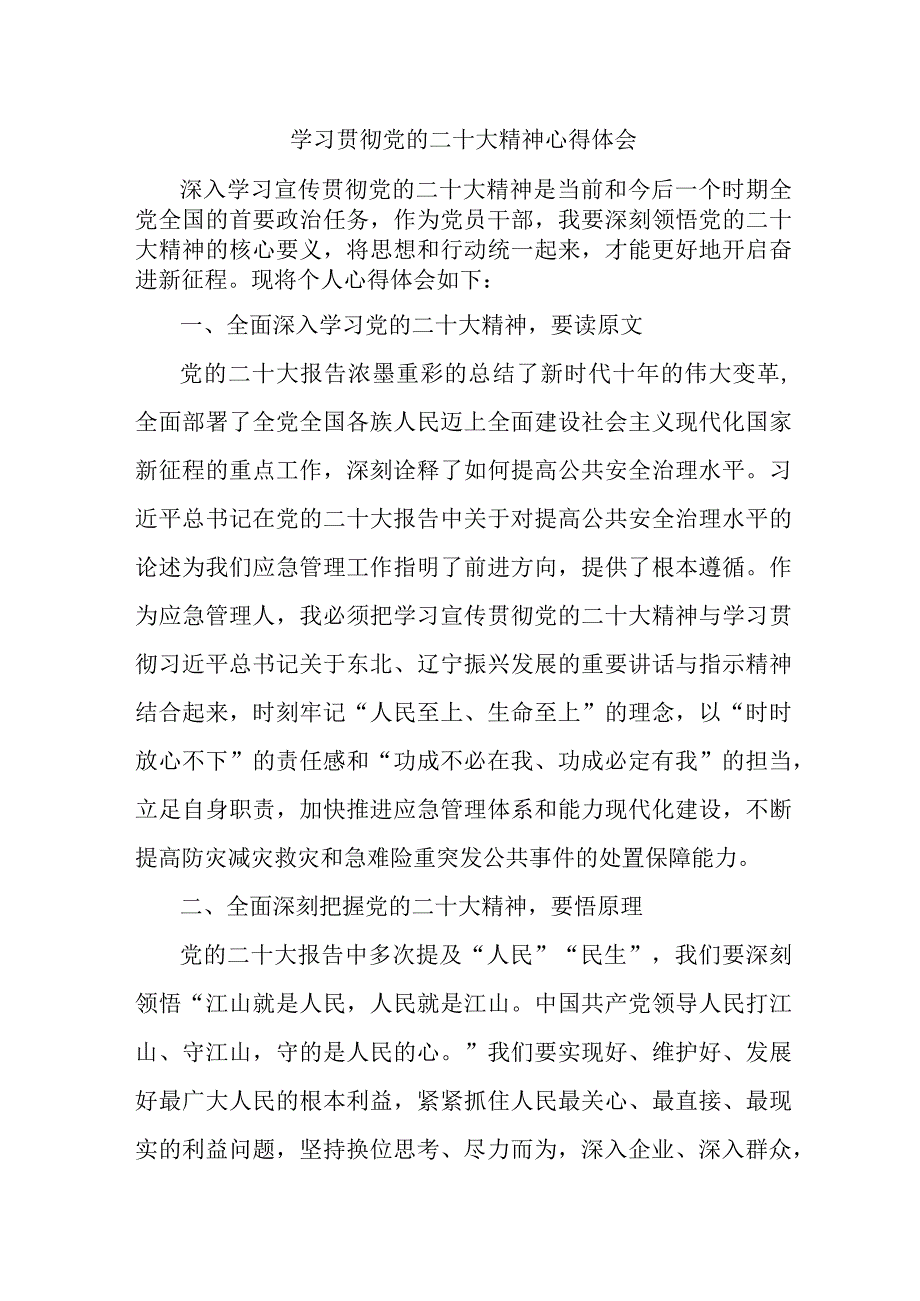 应急管理局执法大队负责人《学习贯彻党的二十大精神》个人心得体会 （汇编11份）.docx_第1页