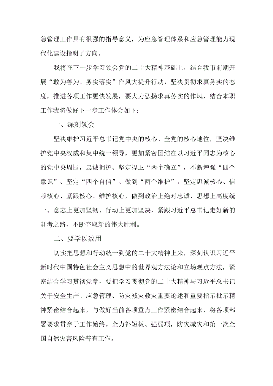 应急管理局执法大队党员干部学习贯彻党的二十大精神个人心得体会 （汇编4份）.docx_第2页