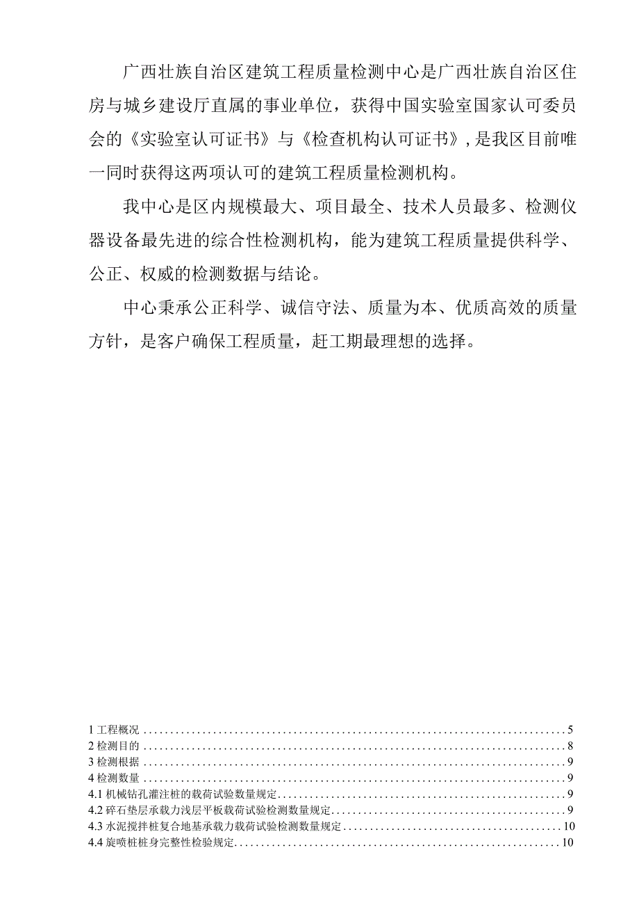 排冲水系环境综合整治工程地基基础质量检测方案.docx_第2页