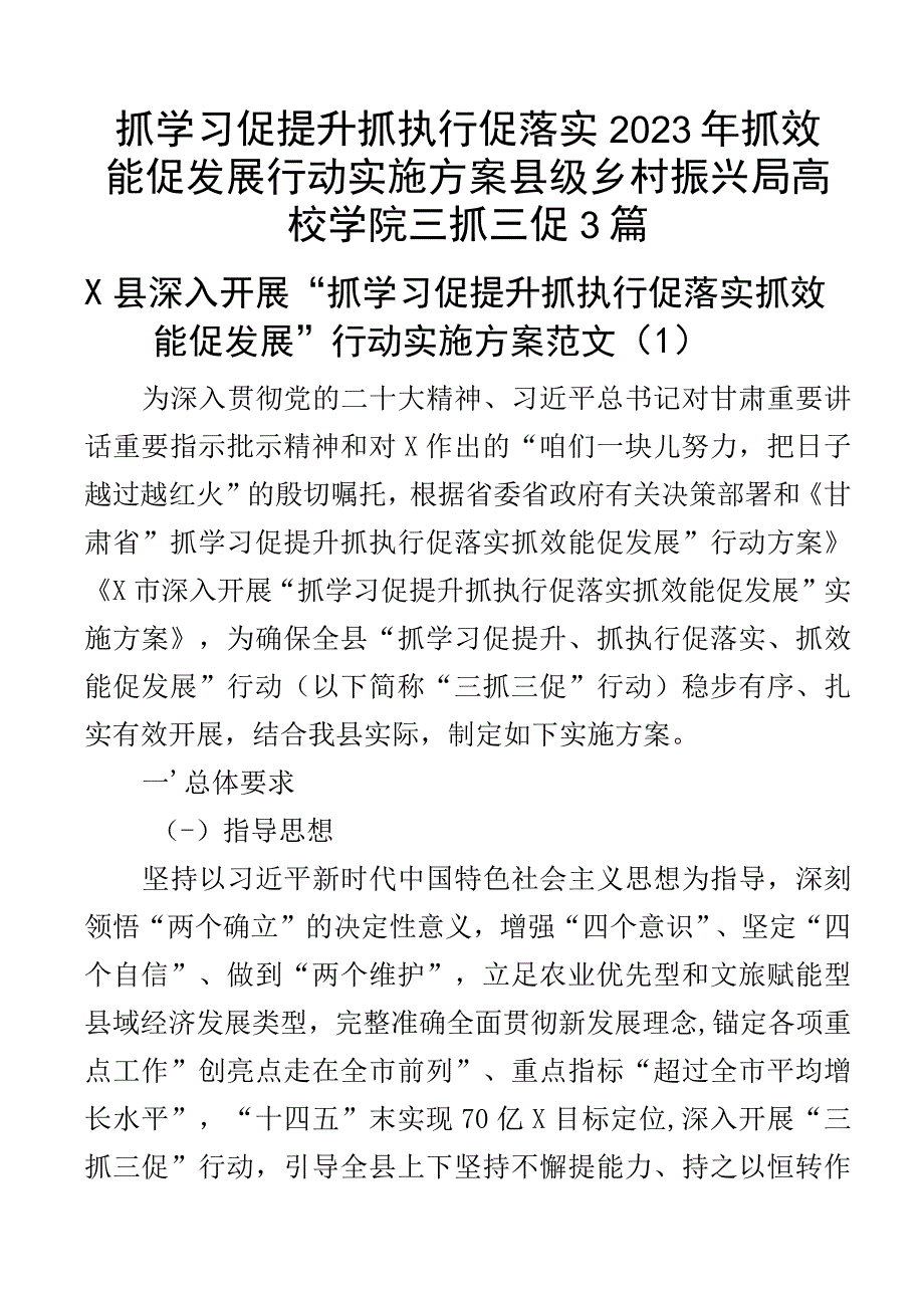 抓学习促提升抓执行促落实2023年抓效能促发展行动实施方案县级乡村振兴局高校学院三抓三促3篇.docx_第1页