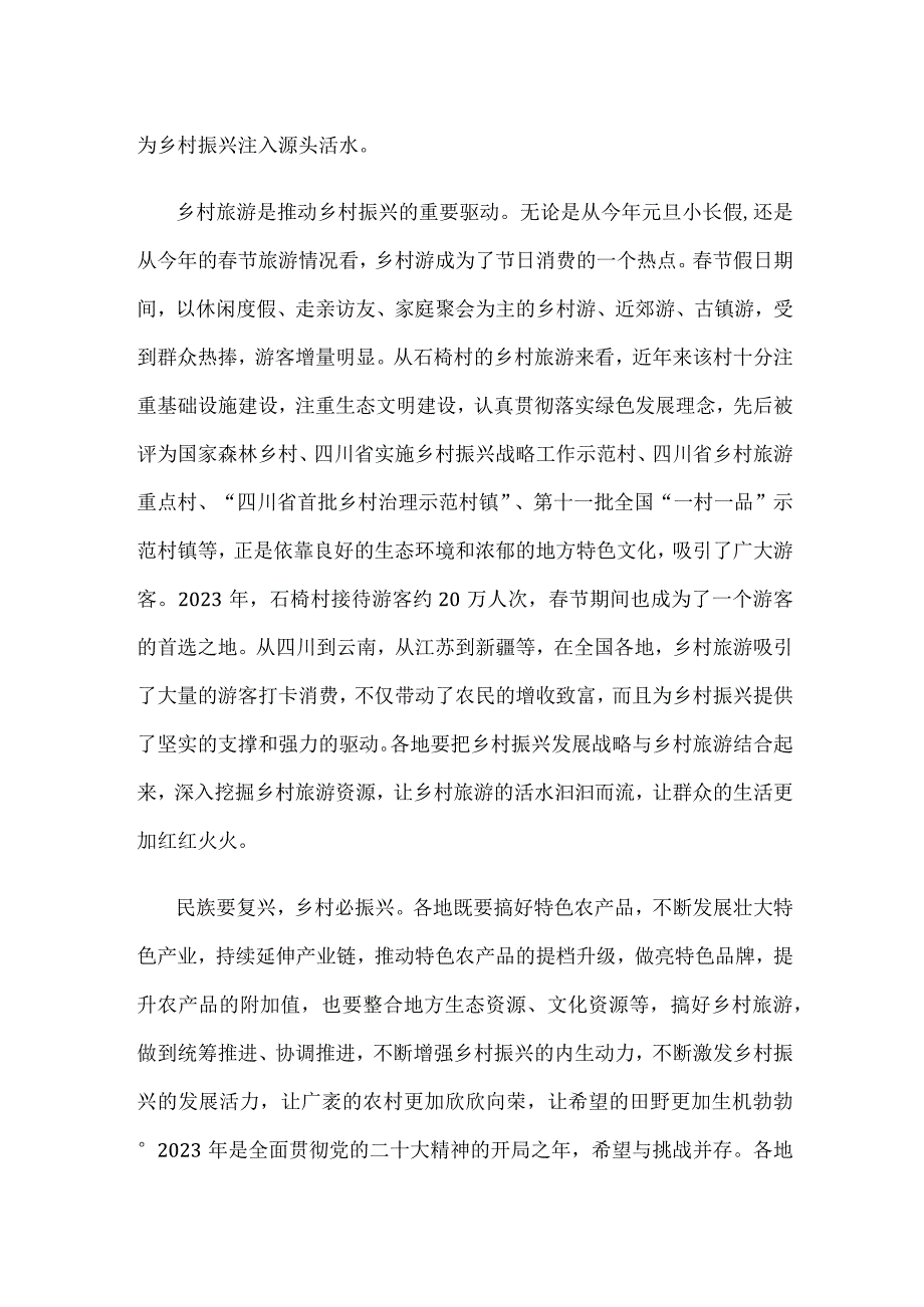 扎实推进新时代的乡村振兴心得体会.docx_第2页