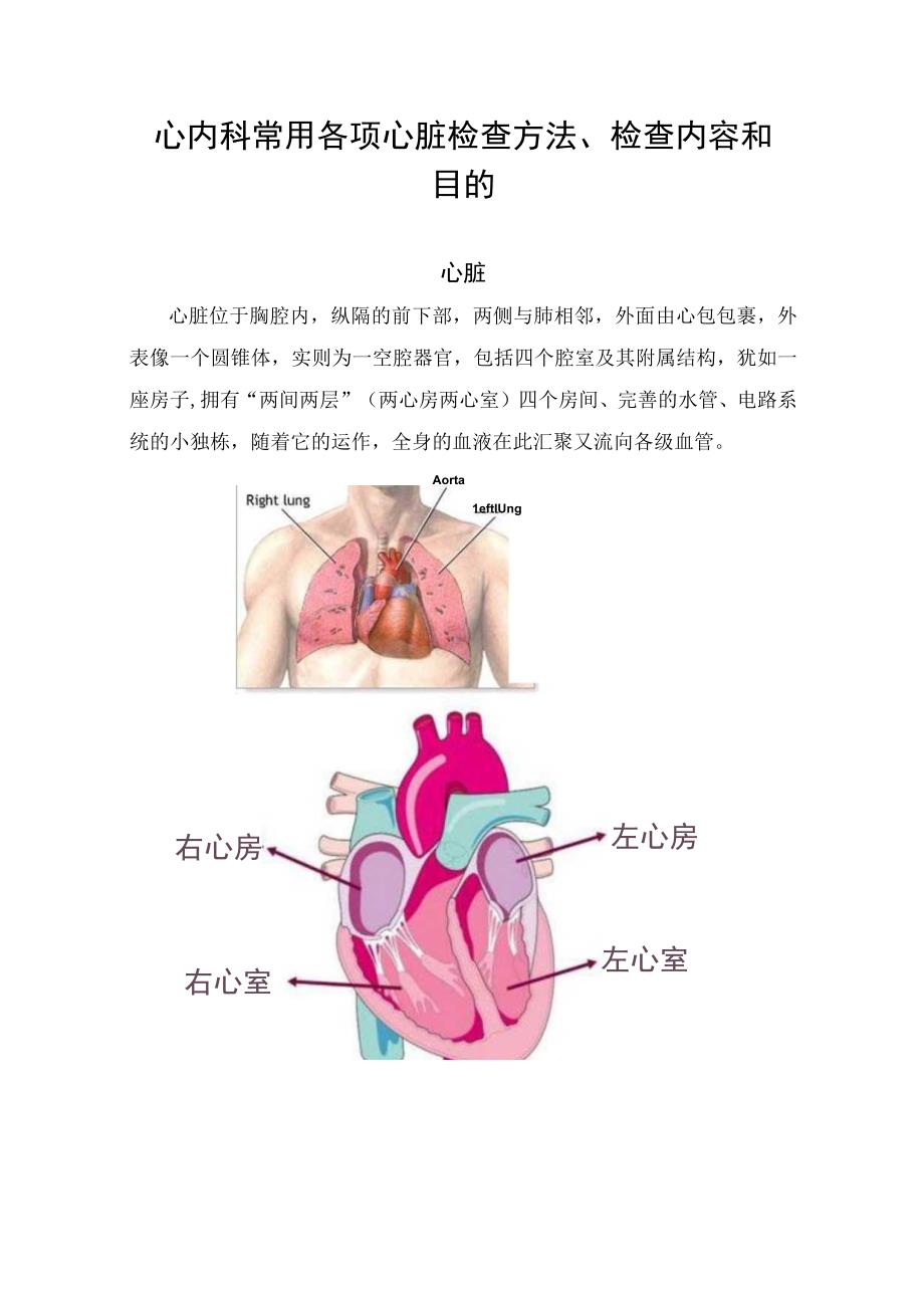 心内科常用各项心脏检查方法检查内容和目的.docx_第1页